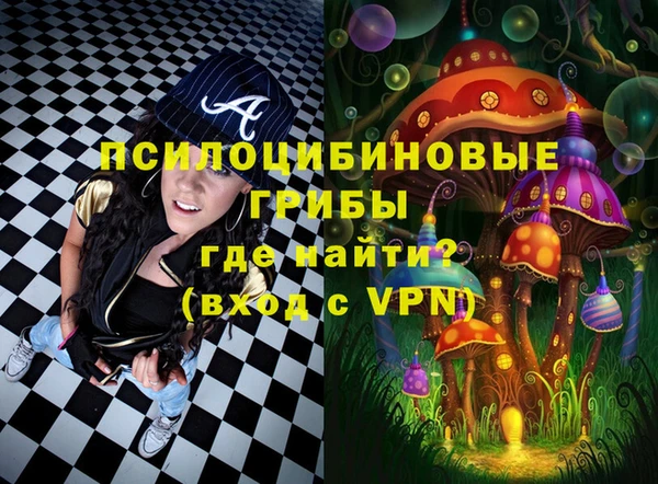 СК Бронницы
