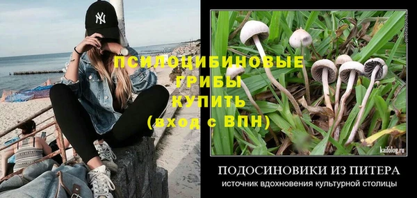 jwh Бородино