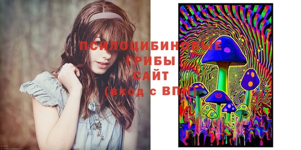 СК Бронницы