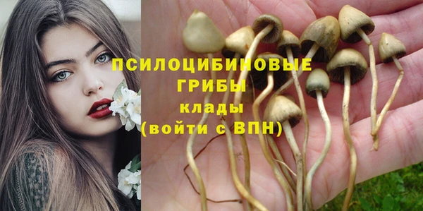 мяу мяу мука Бугульма