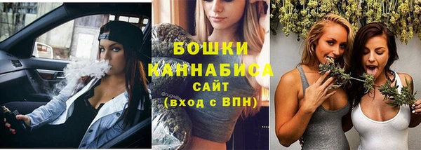СК Бронницы