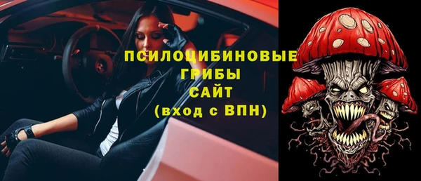 jwh Бородино