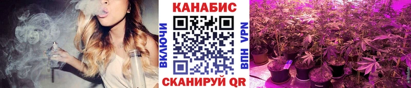 Шишки марихуана марихуана Кировск